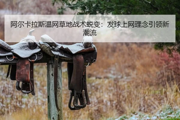 阿尔卡拉斯温网草地战术蜕变：发球上网理念引领新潮流